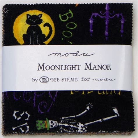 Moonlight manor witch